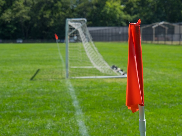 的崛起奠定 的崛起奠定