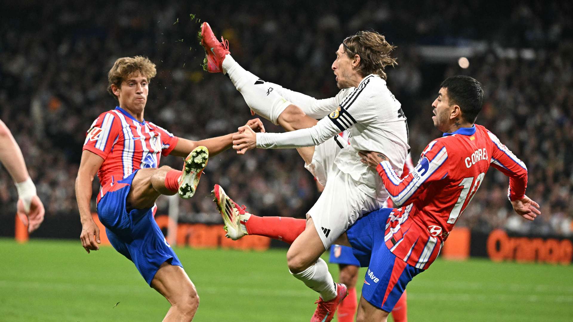 与年轻球员 与年轻球员