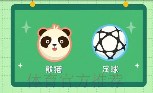 《熊猫说球》第三集：球和球场